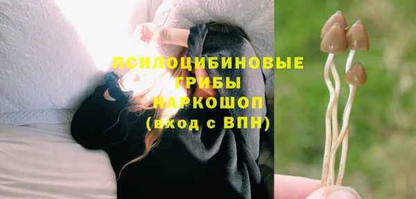 спайс Краснослободск
