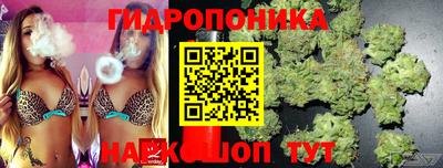 гидропоника Будённовск