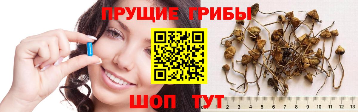 Галлюциногенные грибы Magic Shrooms Ефремов