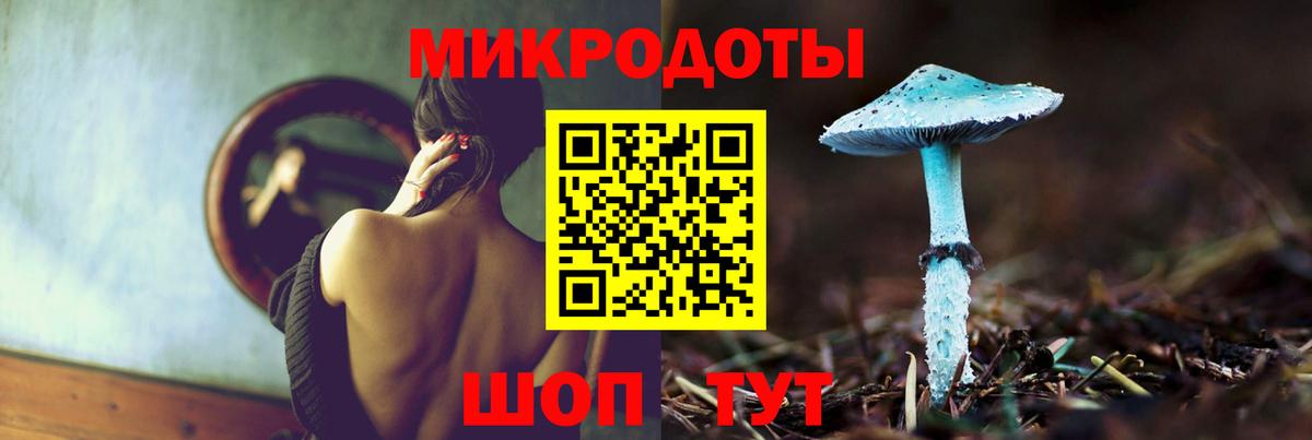 Галлюциногенные грибы GOLDEN TEACHER  Вход с VPN  Ефремов 